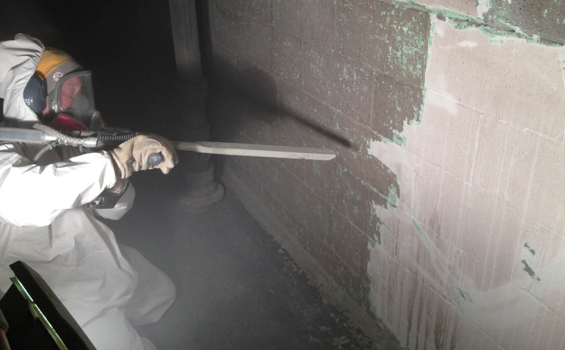 Mold Removal Services